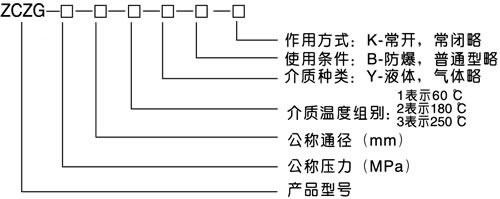 ZCZG/ZCZH高溫高壓電磁閥型號(hào)編制說(shuō)明